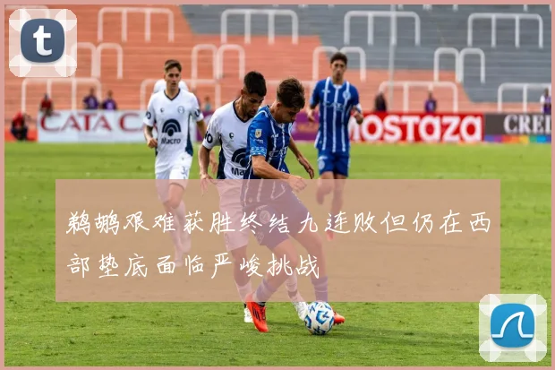 鹈鹕艰难获胜终结九连败但仍在西部垫底面临严峻挑战
