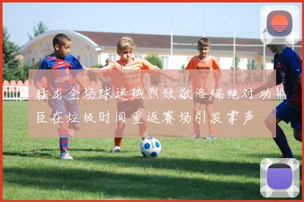 猛龙全场球迷热烈致敬洛瑞绝对功臣在垃圾时间重返赛场引发掌声