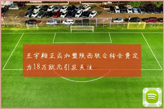 王宇翔正式加盟陕西联合转会费定为18万欧元引发关注