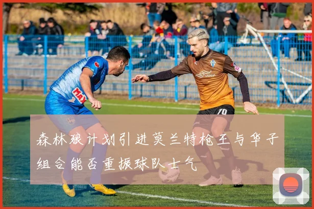 森林狼计划引进莫兰特枪王与华子组合能否重振球队士气