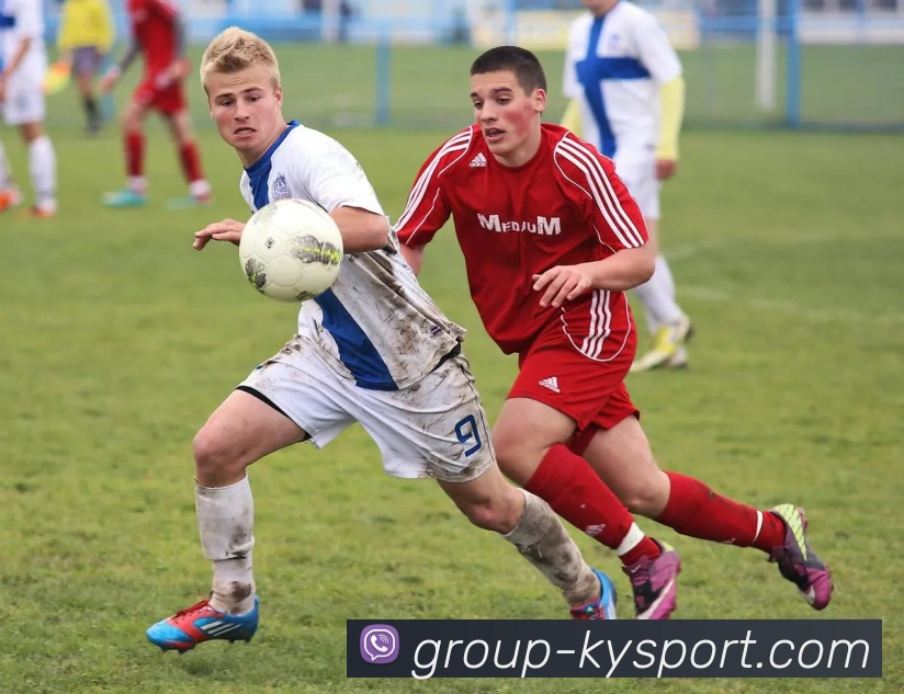 开云体育APP 封面图